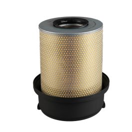 Filtro Aire Principal