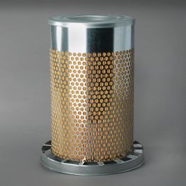 Filtro Aire Principal