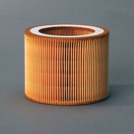 Filtro Aire Principal