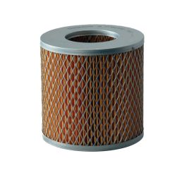 Filtro Aire Principal