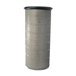 Filtro Aire Principal
