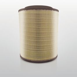 Filtro Aire Principal