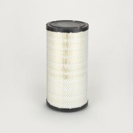 Filtro Aire Principal