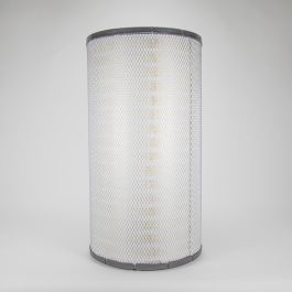 Filtro Aire Principal