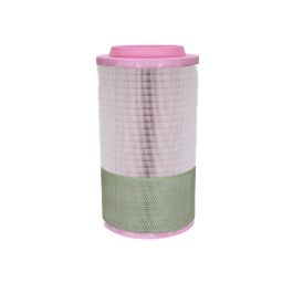 Filtro Aire Principal