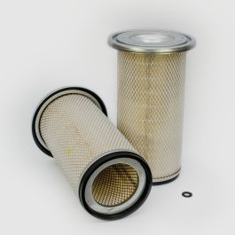 Filtro Aire Principal